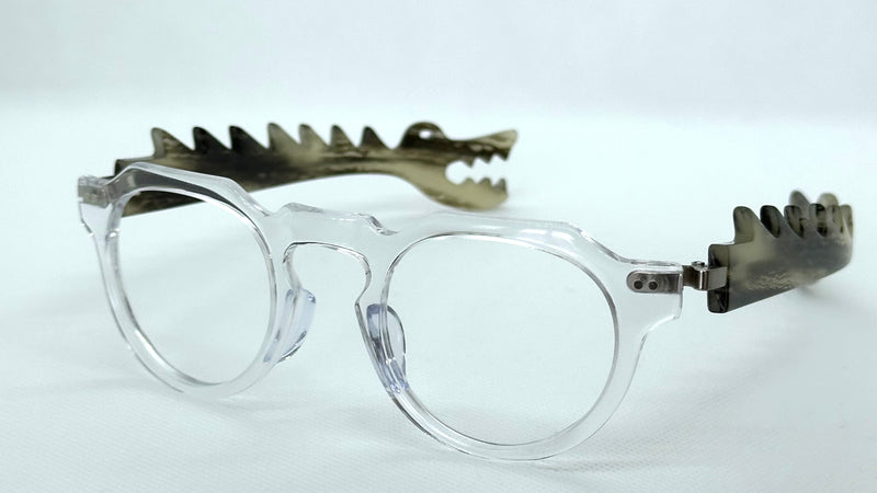 Big Dino Aontonio Clear